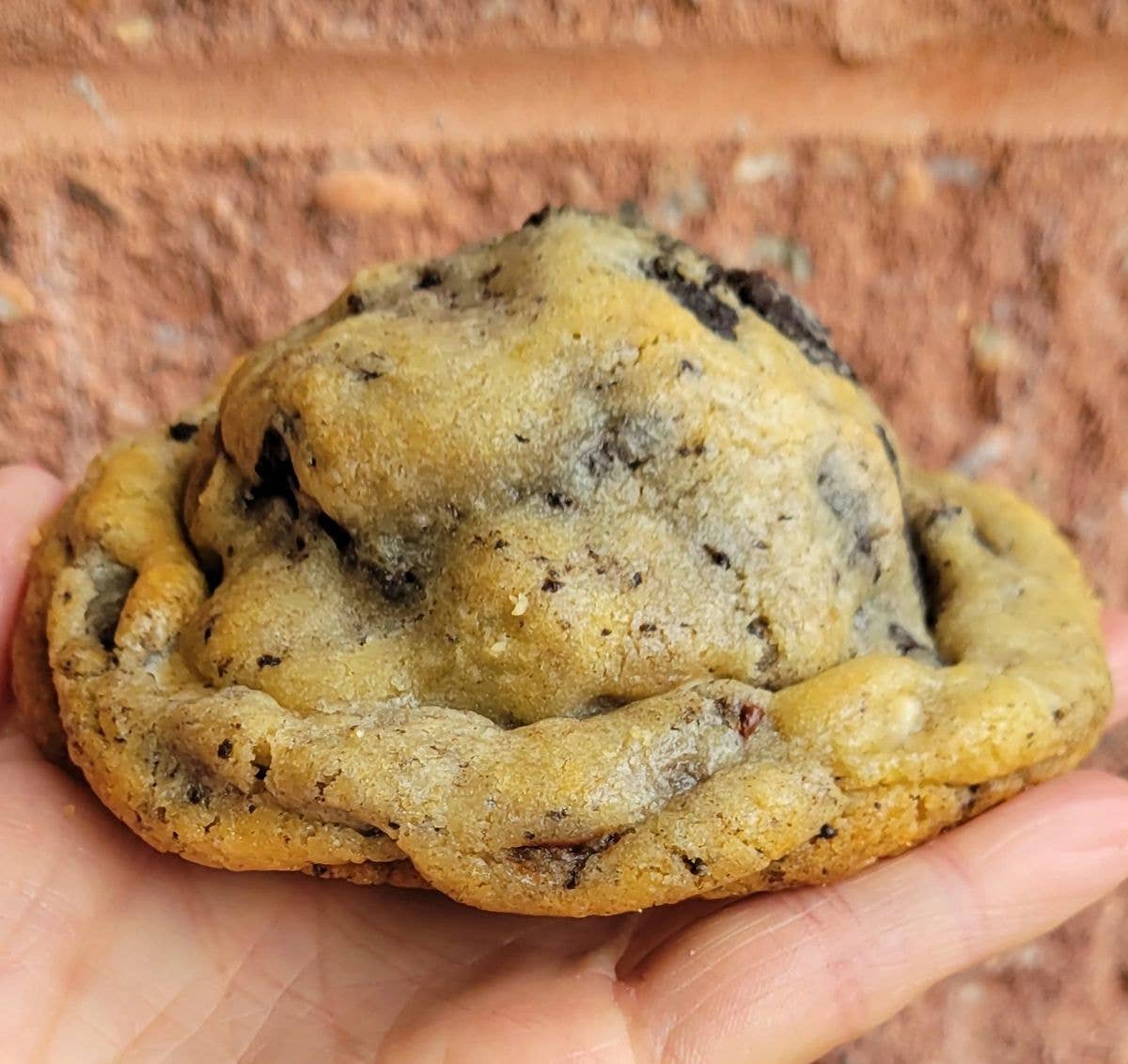 Cookies & Cream Cookie