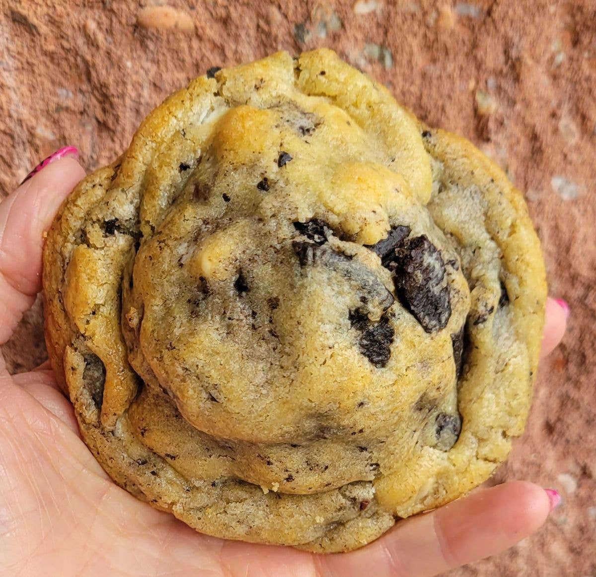 Cookies & Cream Cookie