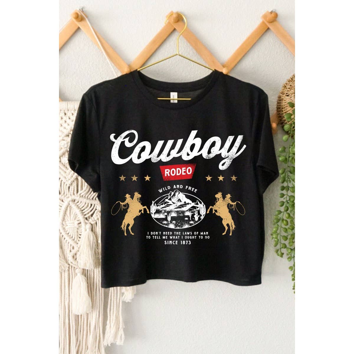 COWBOY RODEO GRAPHIC
